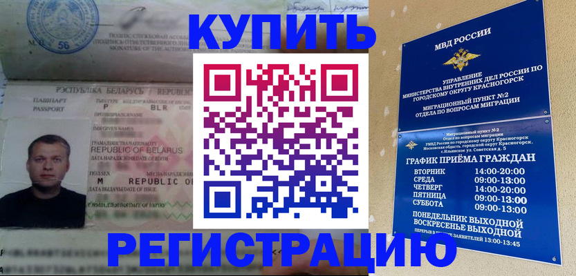 прописка законно в Черноголовке